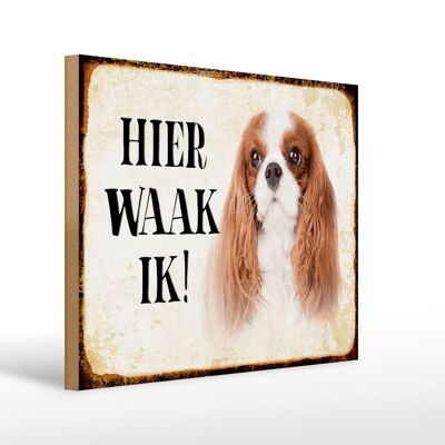 Holzschild Spruch 40x30 cm holländisch Hier Waak ik King Charles Spaniel Schild