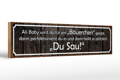 Holzschild Spruch 46x10cm als Baby für Bäuerchen gelobt Dekoration
