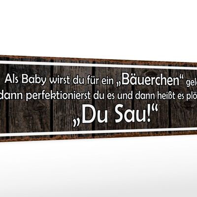 Holzschild Spruch 46x10cm als Baby für Bäuerchen gelobt Dekoration