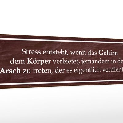 Holzschild Spruch 46x10cm Stress entsteht wenn das Gehirn Dekoration