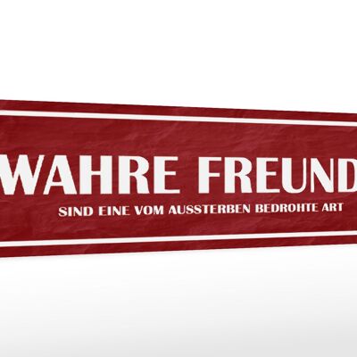 Holzschild Spruch 46x10cm wahre Freunde Geschenk Dekoration