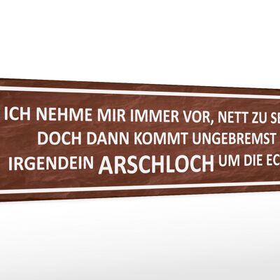 Holzschild Spruch 46x10cm ich immer nett doch Arschloch Dekoration