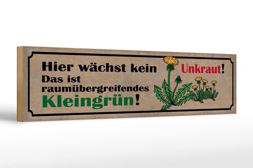 Holzschild Spruch 46x10cm Hier wächst kein Unkraut. Das ist Kleingrün