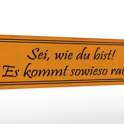 Holzschild Spruch 46x10cm sei wie du bist es kommt sowieso Dekoration