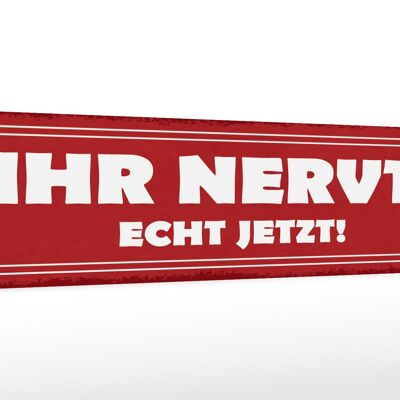 Holzschild Spruch 46x10cm ihr nervt echt jetzt Dekoration