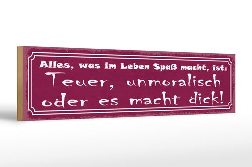 Holzschild Spruch 46x10cm alles was Spaß teuer unmoralisch Dekoration