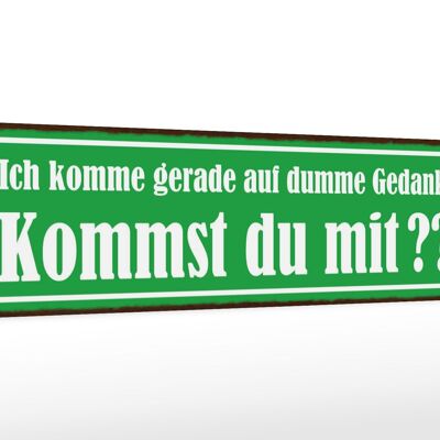 Holzschild Spruch 46x10cm Kommst du mit auf dumme Gedanken Dekoration