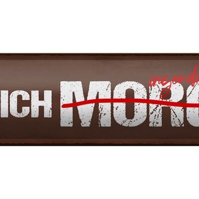 Blechschild Spruch 46x10cm Mach ich irgenwann morgen Dekoration