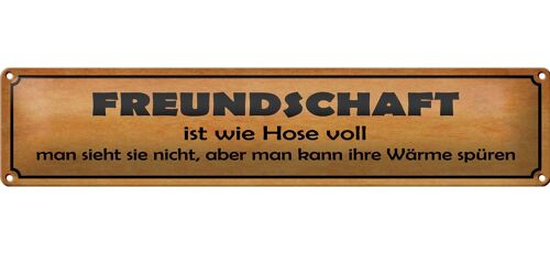 Blechschild Spruch 46x10cm Freundschaft ist wie Hose voll Dekoration