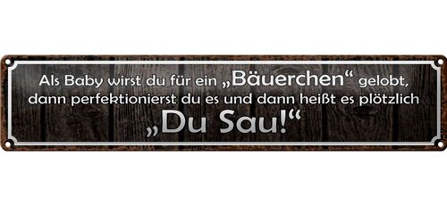 Blechschild Spruch 46x10cm als Baby für Bäuerchen gelobt Dekoration