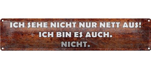 Blechschild Spruch 46x10cm sehe nicht nur nett aus ich bin Dekoration