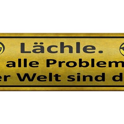 Blechschild Spruch 46x10cm Lächle nicht alle Problem deine Dekoration