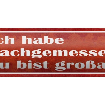 Blechschild Spruch 46x10cm nachgemessen du bist großartig Dekoration