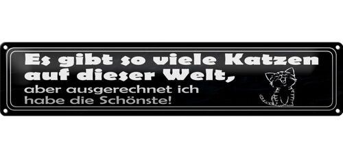 Blechschild Spruch 46x10cm es gibt so viele Katzen auf Welt Dekoration