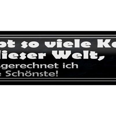 Blechschild Spruch 46x10cm es gibt so viele Katzen auf Welt Dekoration