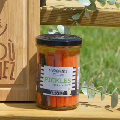 Pickles – Duo aus Karotten und Radieschen