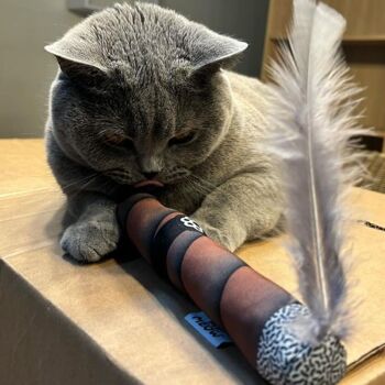 MyMeow Silvervine Cigar Cat Toy avec plume - Amusement interactif ultime pour les chats 3