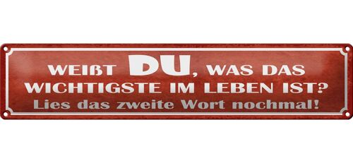 Blechschild Spruch 46x10cm weißt du was wichtigste im Leben Dekoration