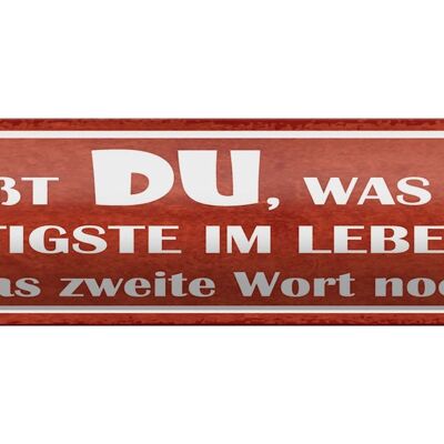 Blechschild Spruch 46x10cm weißt du was wichtigste im Leben Dekoration