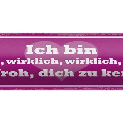 Blechschild Spruch 46x10cm bin wirklich froh dich zu kennen Dekoration