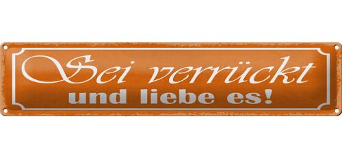 Blechschild Spruch 46x10cm sei verrückt und liebe es Dekoration