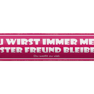 Blechschild Spruch 46x10cm Du wirst bester Freund bleiben!