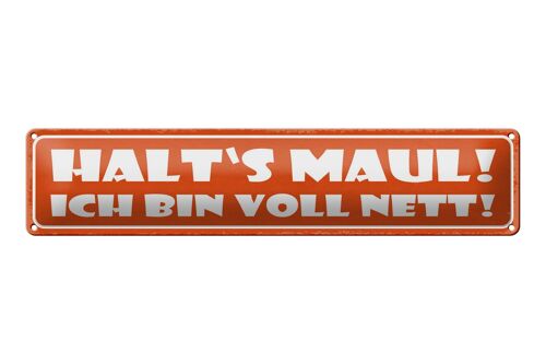 Blechschild Spruch 46x10cm halt`s Maul ich bin voll nett Dekoration