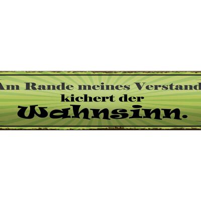 Blechschild Spruch 46x10cm Am Rande Verstands Wahnsinn Dekoration