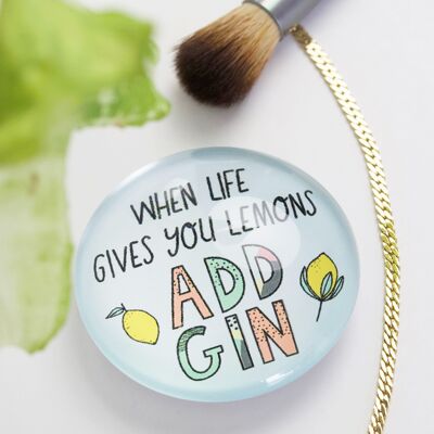 Add Gin Magnets with Display Board