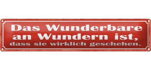 Blechschild Spruch 46x10cm das Wunderbare an Wundern ist Dekoration