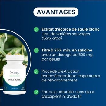 Saule blanc - Standardisé à 25% en salicine - 500 mg / 60 gélules 3