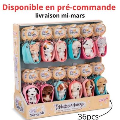 - Portachiavi con display 8 cm Animali dormienti, 12 persone