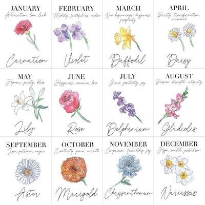 Impresión de flores de nacimiento A4 - enero