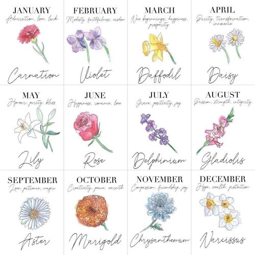 A4 Birth Flower Print - November