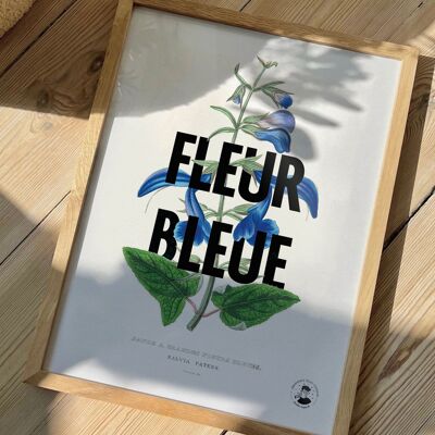 Flor azul | Cartel gráfico y romántico.
