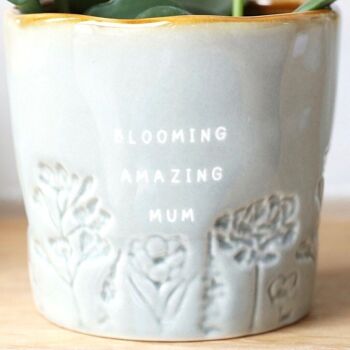 Jardinière ombrée émaillée « Blooming Amazing Mum » 2