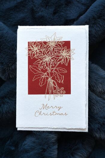 Carte de Noël en coton Deckle Edge - Poinsettia Scarlet 5