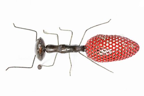 METAL MESH LARGE RED ANT