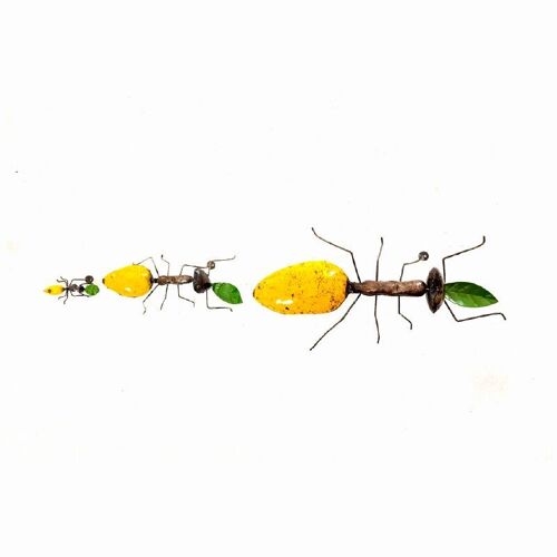 METAL MESH MEDIUM YELLOW ANT