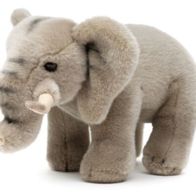 Elefante, de pie - 31 cm (largo) - Palabras clave: animal salvaje exótico, peluche, peluche, peluche, peluche