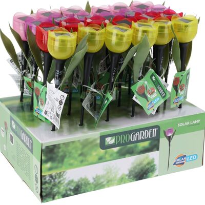 Le jardin de tulipes branche la lampe solaire