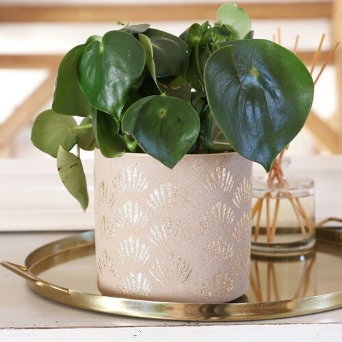 Gold Shell Print Ceramic Planter