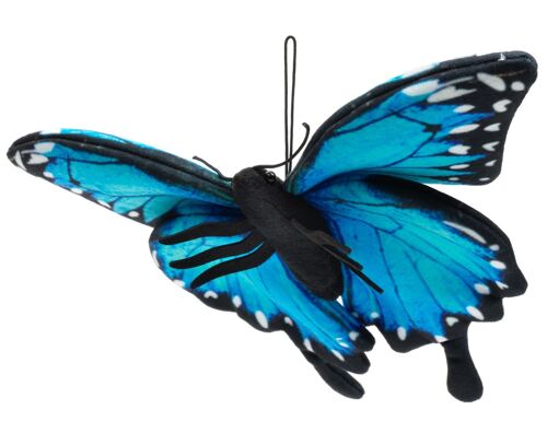 Schmetterling blau (mit Schlaufe) - 26 cm (Breite) - Keywords: Waldtier, Wiesentier, Insekt, Plüsch, Plüschtier, Stofftier, Kuscheltier