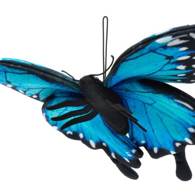 Papillon bleu (avec boucle) - 26 cm (largeur) - Mots clés : animal de la forêt, animal des prairies, insecte, peluche, peluche, peluche, peluche