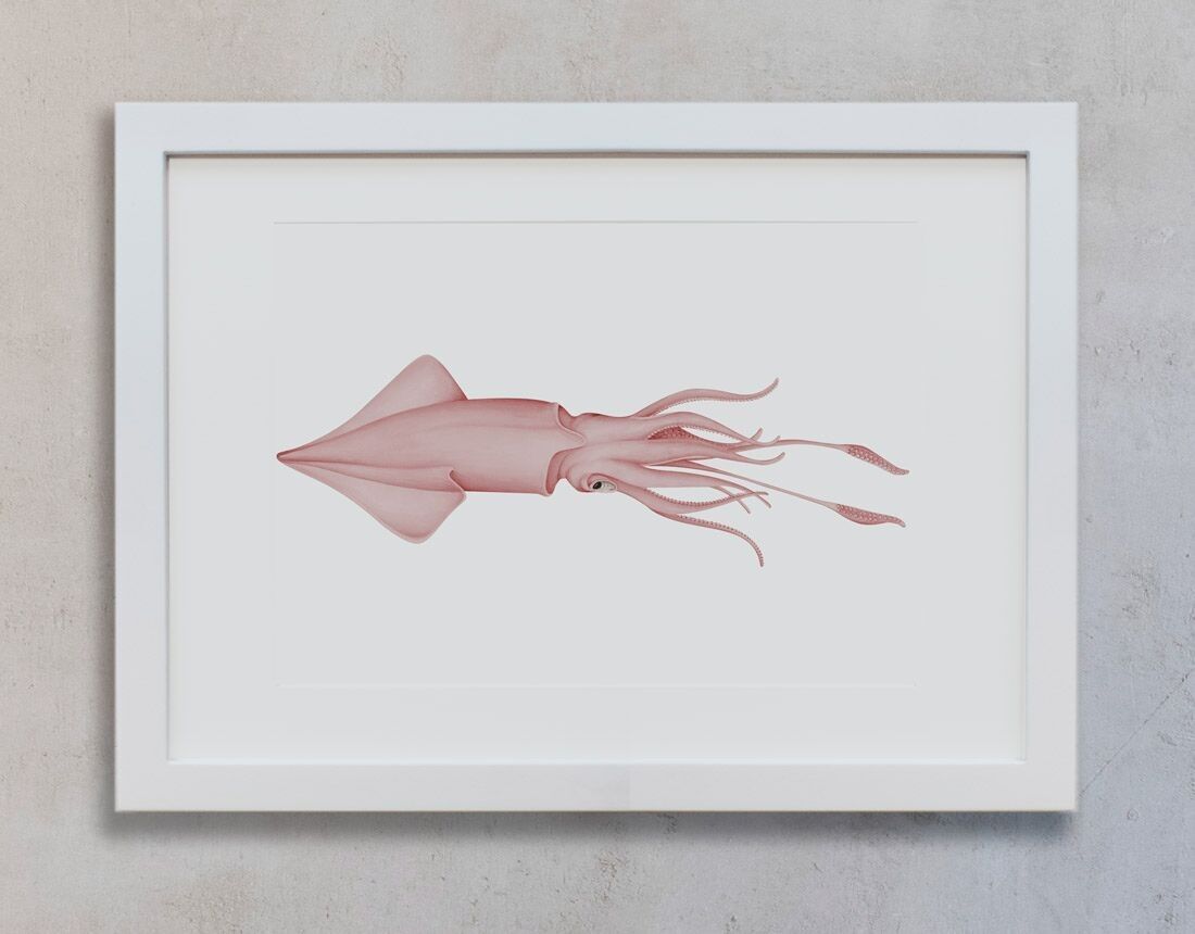 Botanical Watercolor A3 - Squid