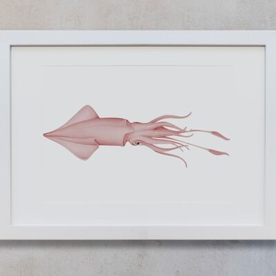 Botanisches Aquarell A3 - Tintenfisch