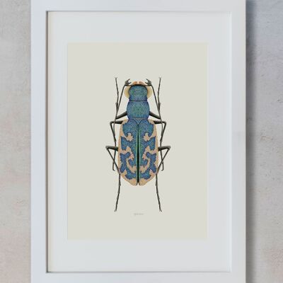 Aquarelle Botanique A3 - Cylindre