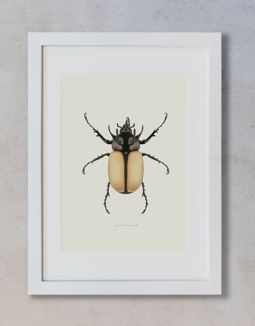 Acquerello botanico A3 - Scarabeo