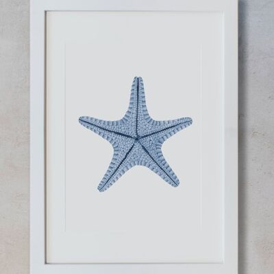Acuarela Botánica A3 - Estrella de mar