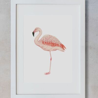 Botanisches Aquarell A3 - Flamingo